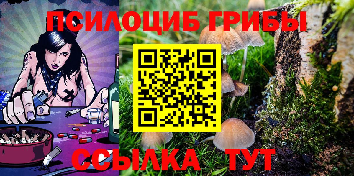 Галлюциногенные грибы Cubensis  Галлюциногенные грибы Psilocybe  Кудымкар  Вход с VPN 